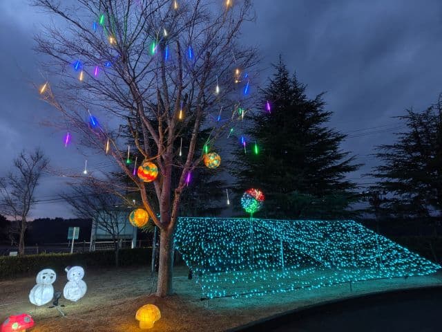 イルミネーション