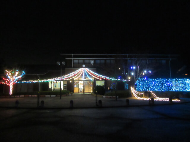 イルミネーション