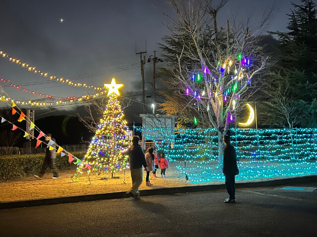 イルミネーション